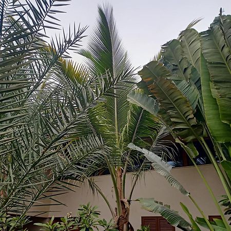 Casa Das Buganvilias Praia Esterno foto