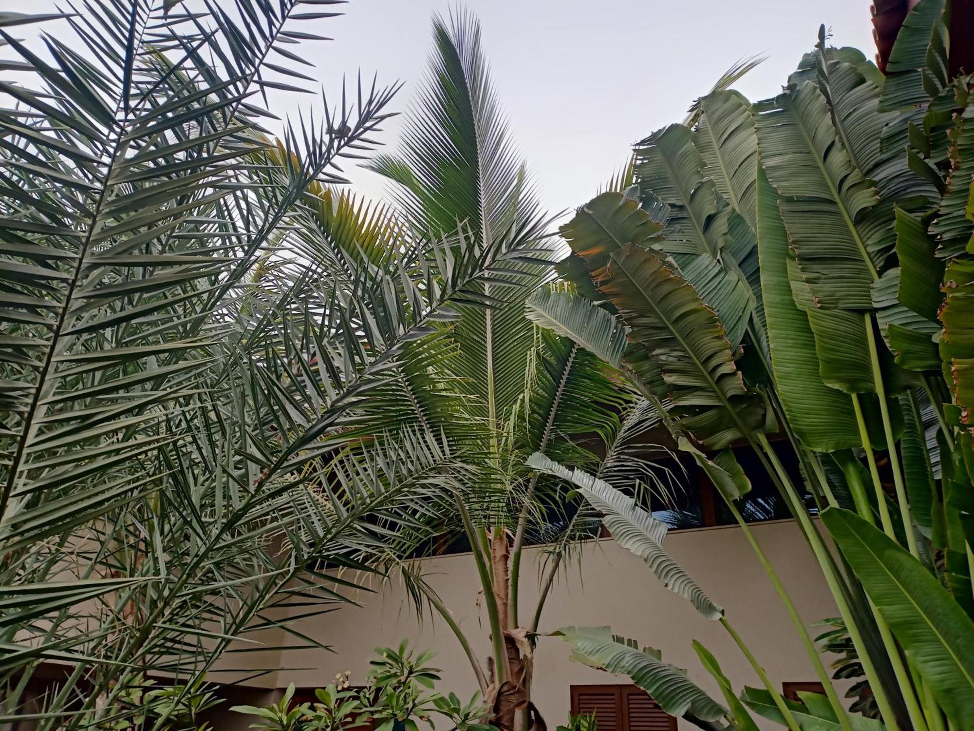 Casa Das Buganvilias Praia Esterno foto