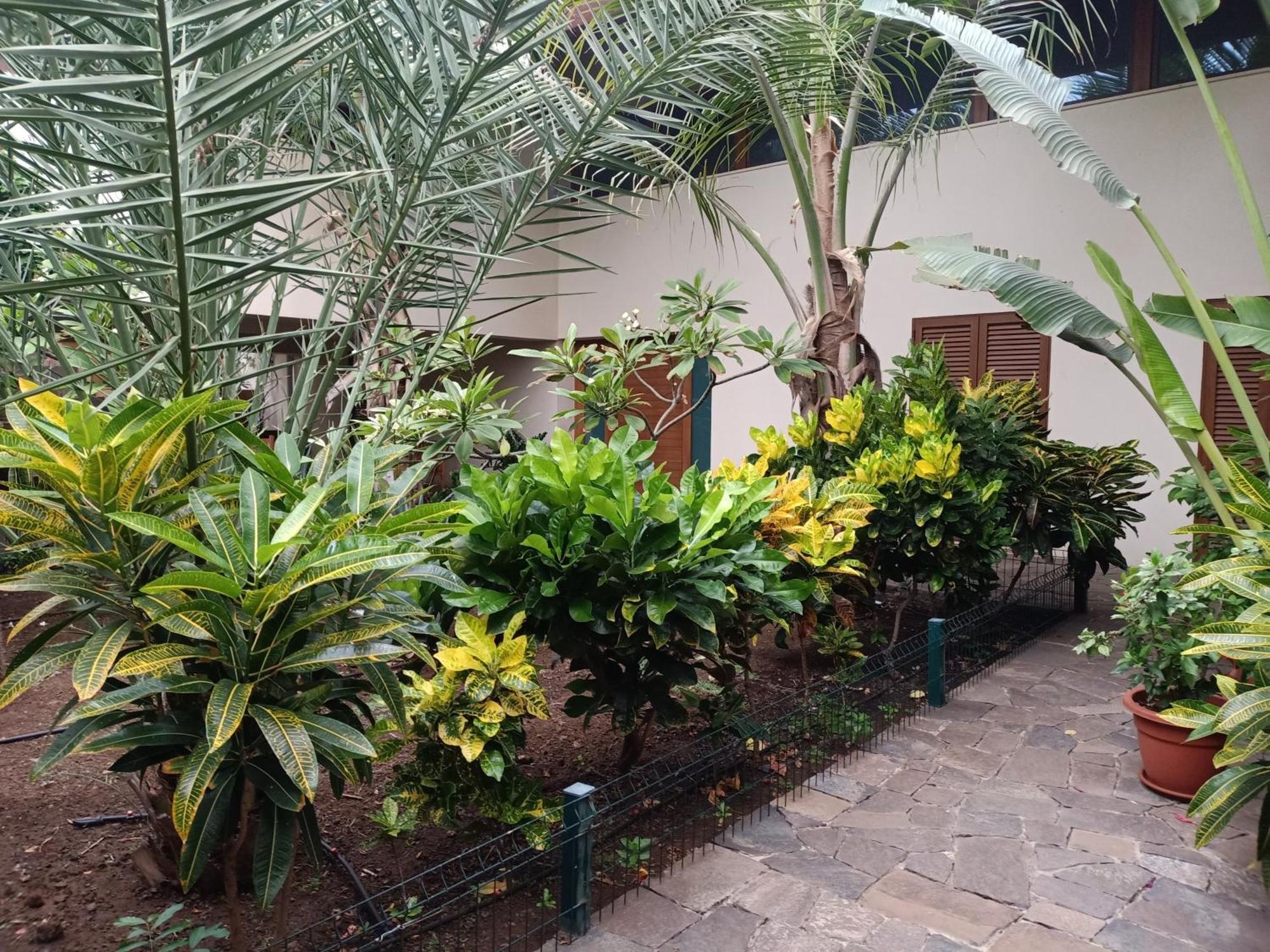 Casa Das Buganvilias Praia Esterno foto